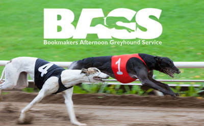 Watch live greyhound racing online