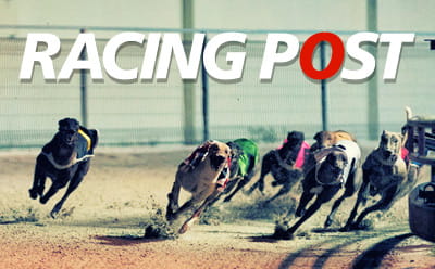 racing post greyhounds
